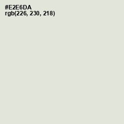 #E2E6DA - Periglacial Blue Color Image