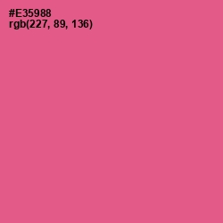 #E35988 - French Rose Color Image