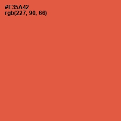 #E35A42 - Sunset Orange Color Image