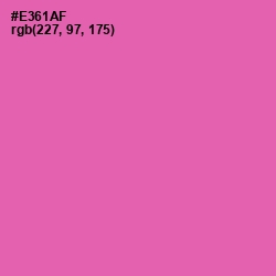 #E361AF - Hot Pink Color Image