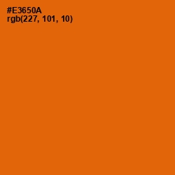 #E3650A - Clementine Color Image