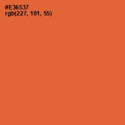 #E36537 - Outrageous Orange Color Image