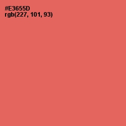 #E3655D - Terracotta Color Image