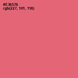 #E36576 - Sunglo Color Image