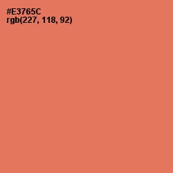 #E3765C - Terracotta Color Image