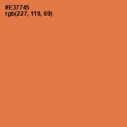 #E37745 - Burnt Sienna Color Image