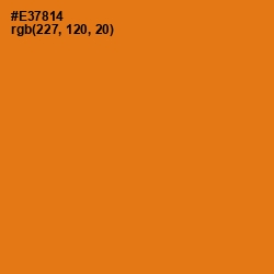 #E37814 - Tango Color Image