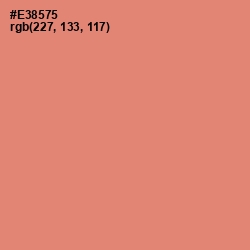 #E38575 - Apricot Color Image