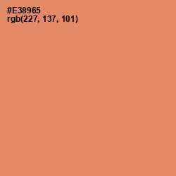 #E38965 - Apricot Color Image