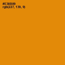 #E38B09 - Golden Bell Color Image