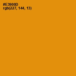 #E3900D - Gamboge Color Image