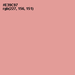#E39C97 - Sea Pink Color Image