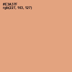 #E3A37F - Harvest Gold Color Image