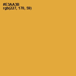 #E3AA3B - Tulip Tree Color Image