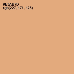 #E3AB7D - Harvest Gold Color Image