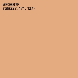 #E3AB7F - Harvest Gold Color Image