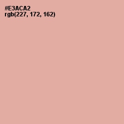 #E3ACA2 - Cashmere Color Image