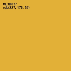 #E3B037 - Tulip Tree Color Image