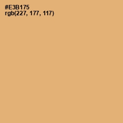 #E3B175 - Harvest Gold Color Image