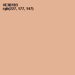 #E3B193 - Gold Sand Color Image