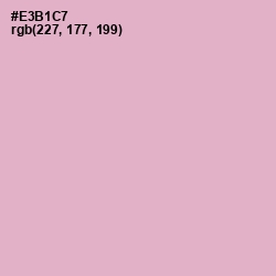 #E3B1C7 - Illusion Color Image