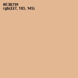 #E3B791 - Gold Sand Color Image