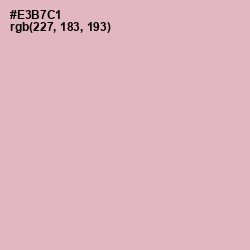 #E3B7C1 - Illusion Color Image