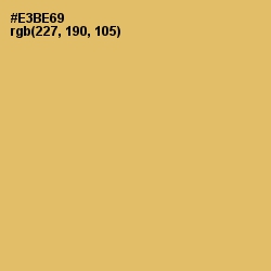 #E3BE69 - Equator Color Image