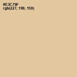 #E3C79F - Calico Color Image