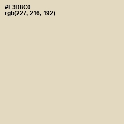 #E3D8C0 - Bone Color Image