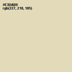 #E3DAB9 - Double Spanish White Color Image