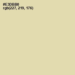 #E3DBB0 - Grain Brown Color Image