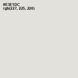 #E3E1DC - Periglacial Blue Color Image