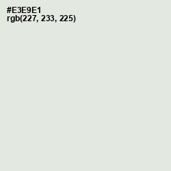 #E3E9E1 - Gray Nurse Color Image