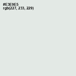 #E3E9E5 - Gray Nurse Color Image