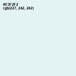#E3F2F2 - Aqua Squeeze Color Image