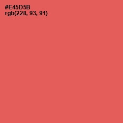 #E45D5B - Sunset Orange Color Image