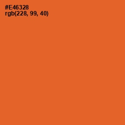 #E46328 - Outrageous Orange Color Image