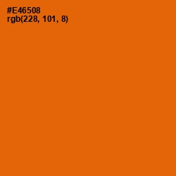 #E46508 - Clementine Color Image