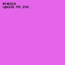 #E465EA - Pink Flamingo Color Image