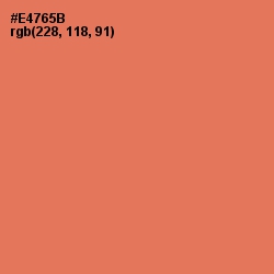 #E4765B - Terracotta Color Image