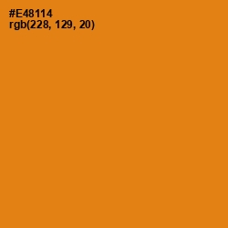 #E48114 - Zest Color Image