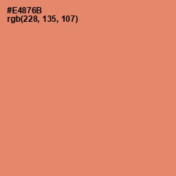 #E4876B - Apricot Color Image