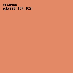 #E48966 - Apricot Color Image