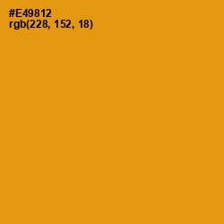 #E49812 - Dixie Color Image