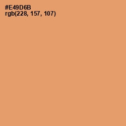 #E49D6B - Apricot Color Image