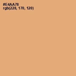 #E4AA78 - Harvest Gold Color Image