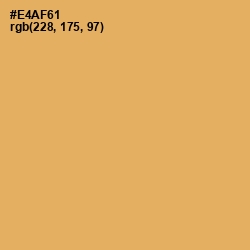 #E4AF61 - Porsche Color Image