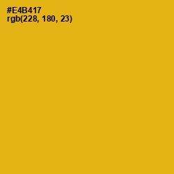 #E4B417 - Buttercup Color Image
