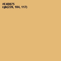 #E4B875 - Harvest Gold Color Image